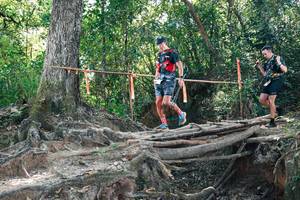 BIB: 
                            <button type="button" onclick="openModal(27745169)" class="btn btn-primary btn-sm float-right btn-popup" data-toggle="modal" data-target=".modal-high-quality">
                        <i class="fas fa-shopping-cart"></i> Add to Cart
                    </button>
                                            <button type="button" onclick="isThisMe(27745169, true)" class="btn btn-success btn-sm float-right btn-popup btn-isme hidden" data-toggle="tooltip" data-placement="bottom" title="นี่คือรูปของคุณใช่ไหม คลิกที่นี่เพื่อเอาเข้าอัลบั้ม">
                        <i class="fas fa-plus"></i> Add to album
                    </button>
                    <button type="button" onclick="isThisMe(27745169, false)" class="btn btn-warning btn-sm float-right btn-popup btn-isnotme hidden">
                        <i class="fas fa-ban"></i> Remove from album
                    </button>